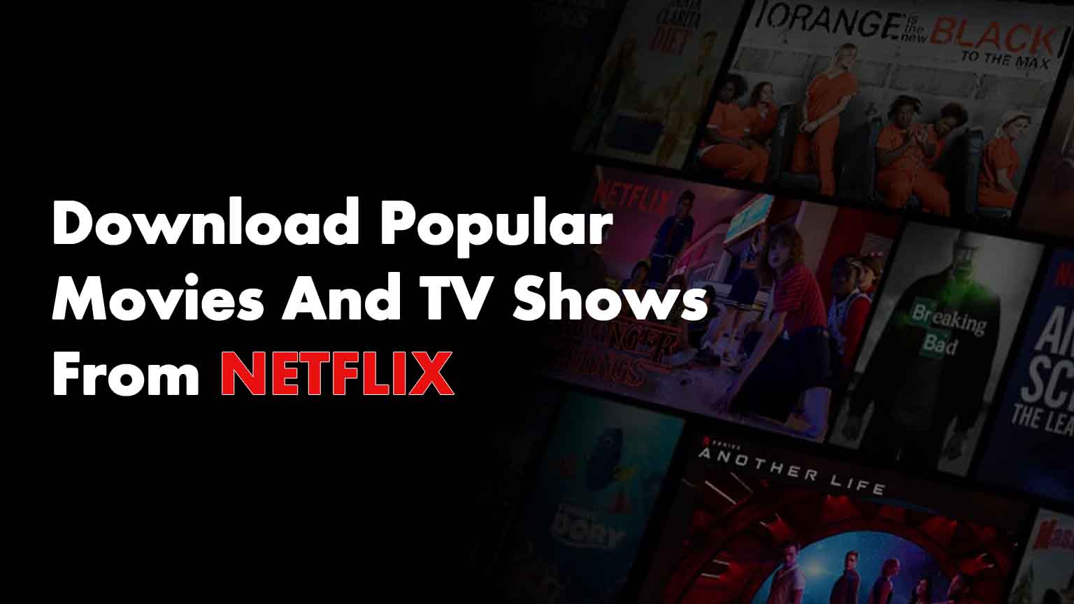 Download Popular Movies And TV Shows From Netflix